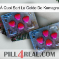 À Quoi Sert La Gelée De Kamagra 14